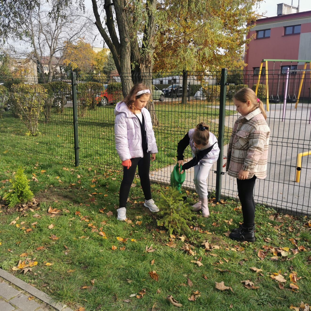 Uczniowie z klasy  II c sadzą drzewko w ogrodzie szkolnym.