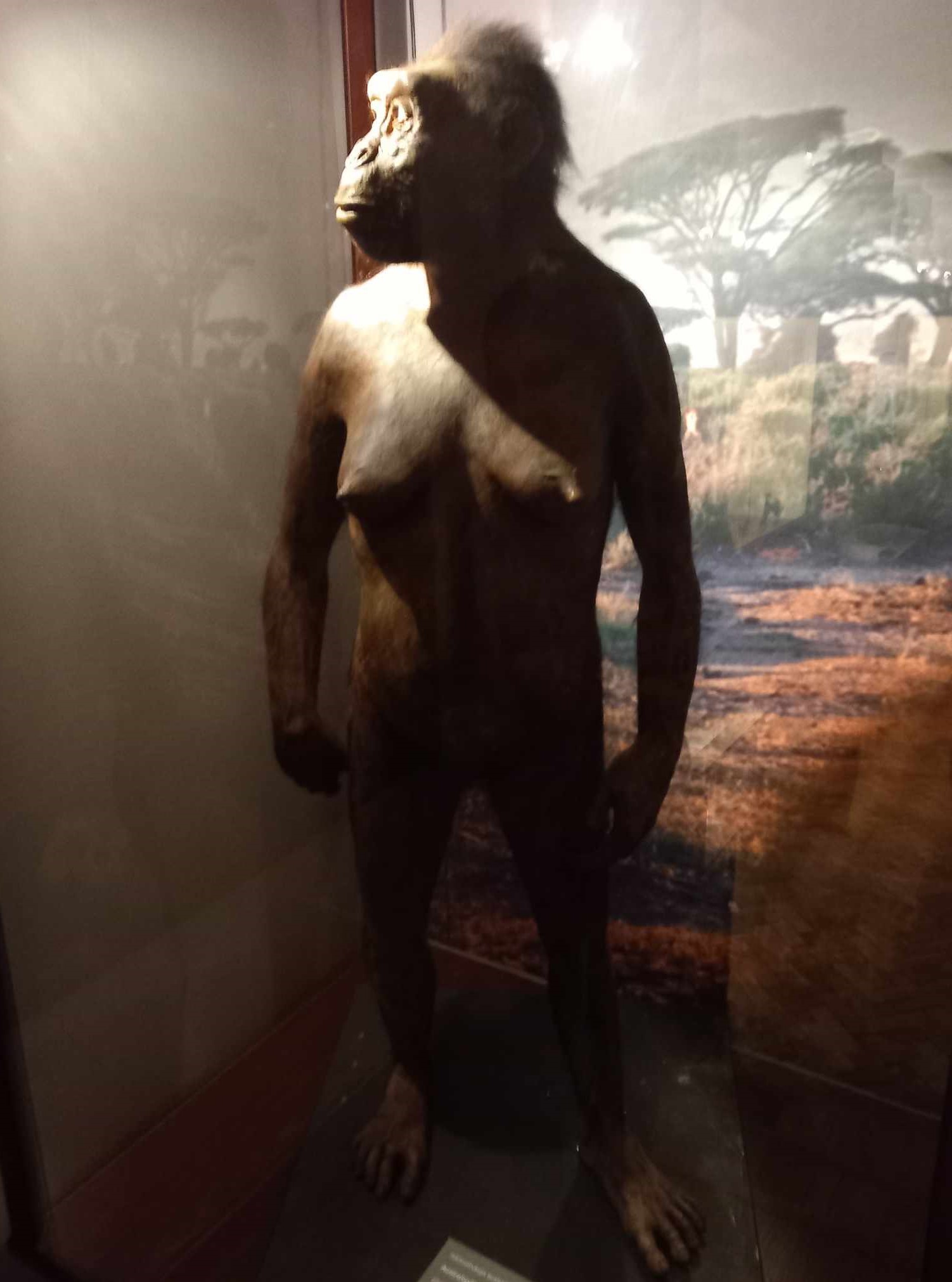 w Muzeum Ewolucj