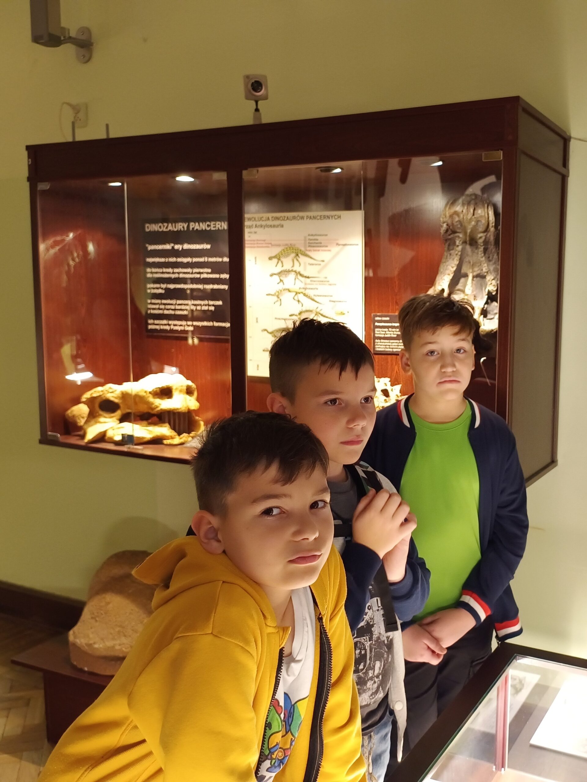w Muzeum Ewolucj
