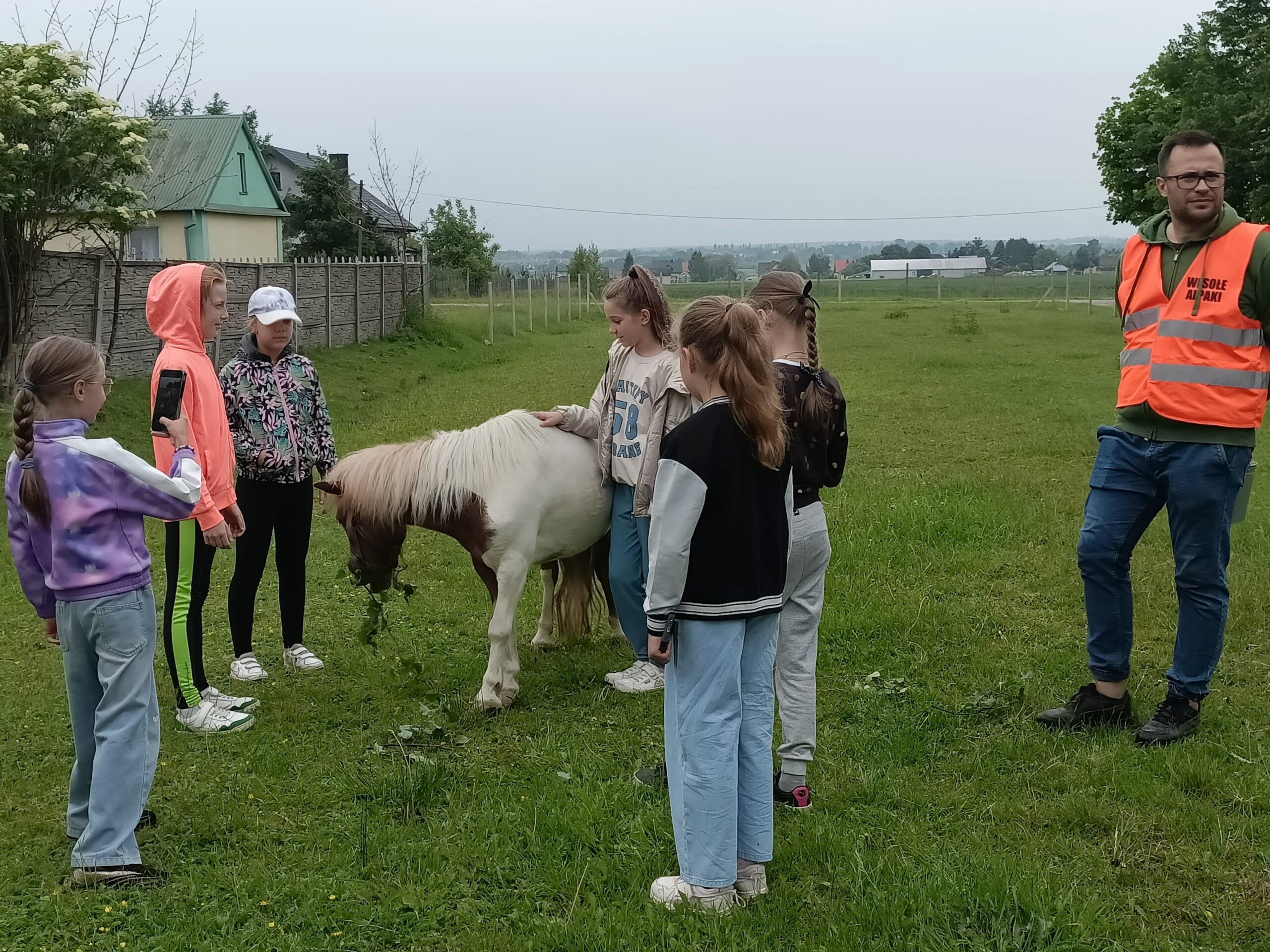 Wesołe Alpaki wycieczka z okazji dnia dziecka.