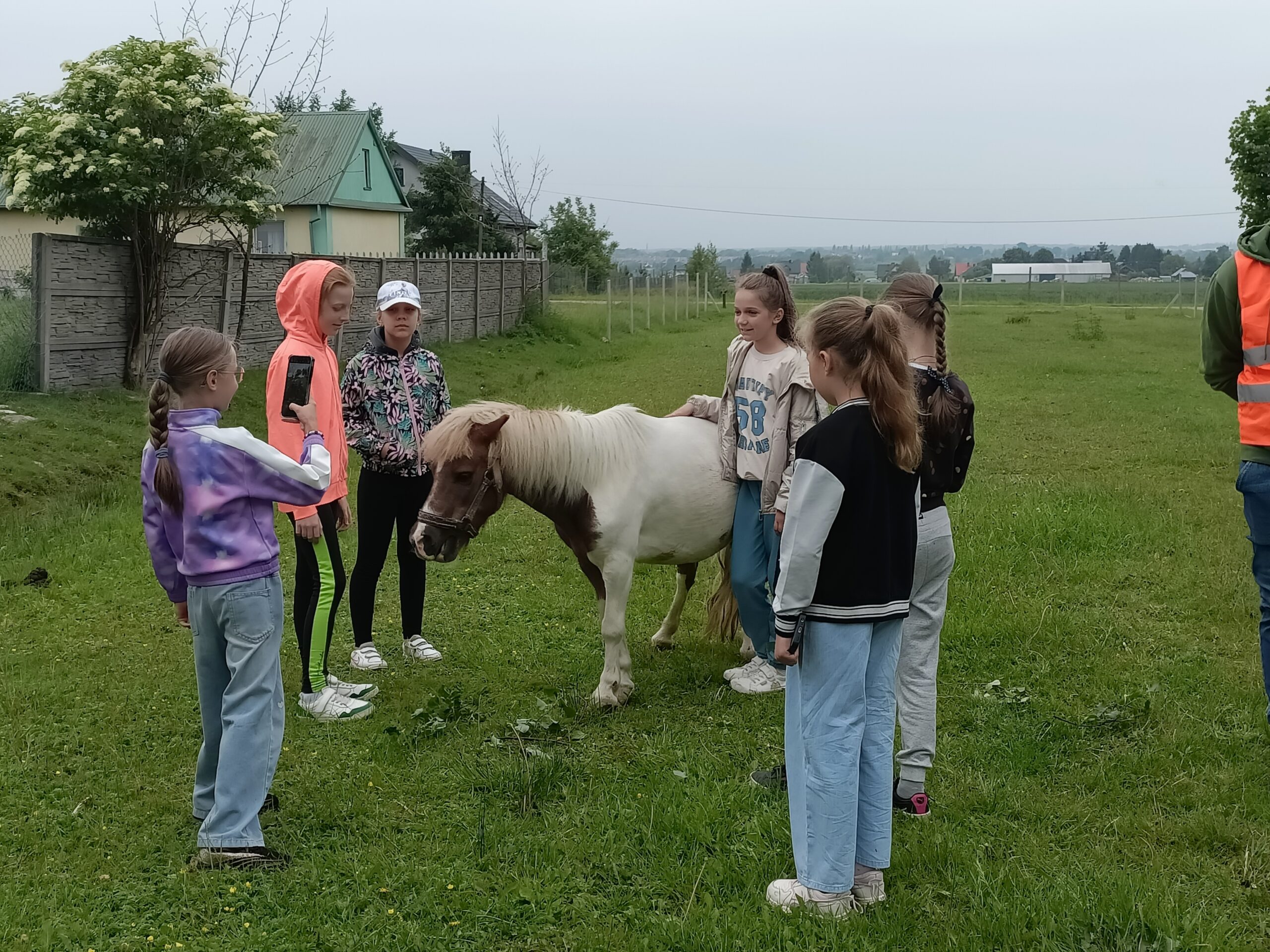Wesołe Alpaki wycieczka z okazji dnia dziecka.