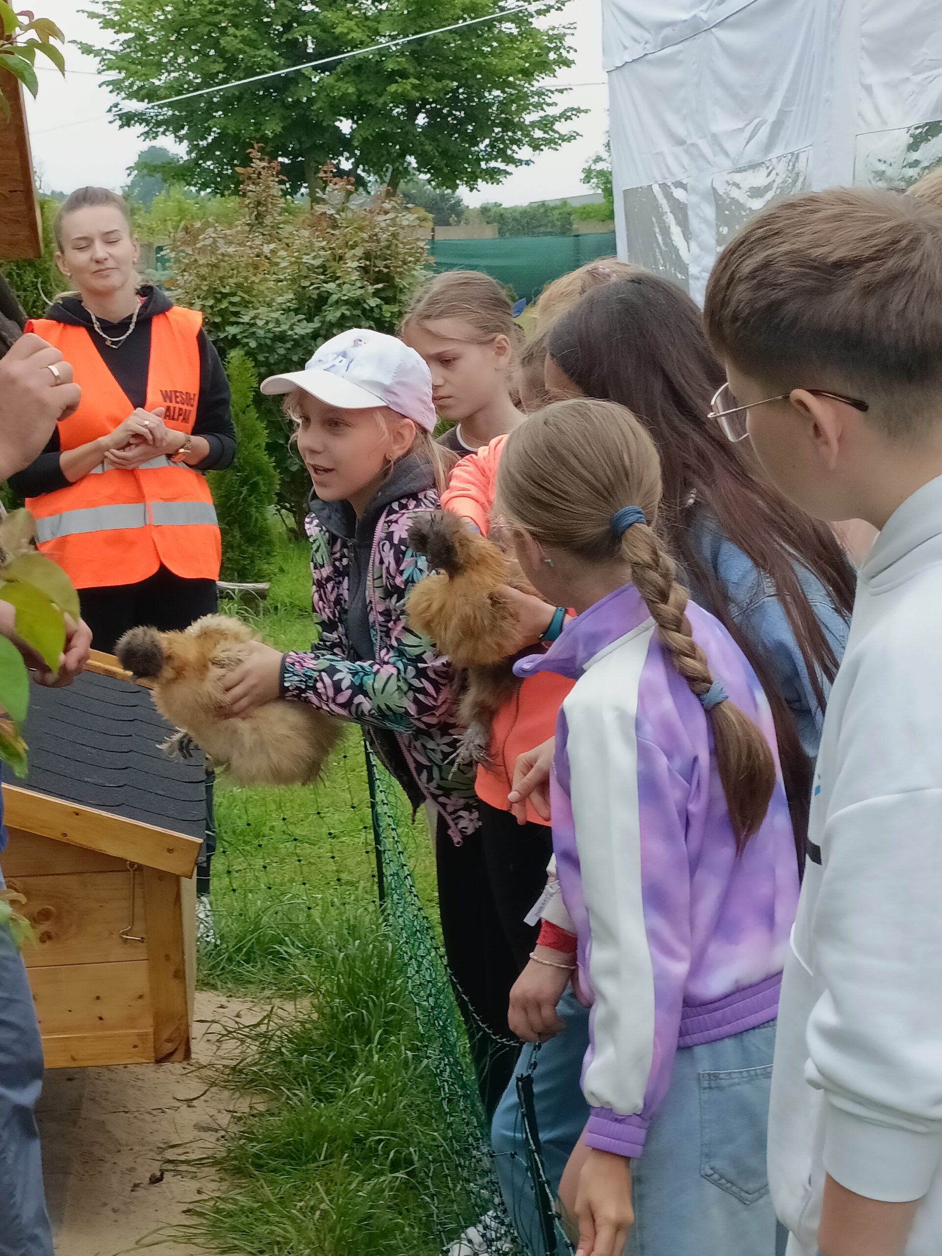 Wesołe Alpaki wycieczka z okazji dnia dziecka. Badamy serduszko królika.