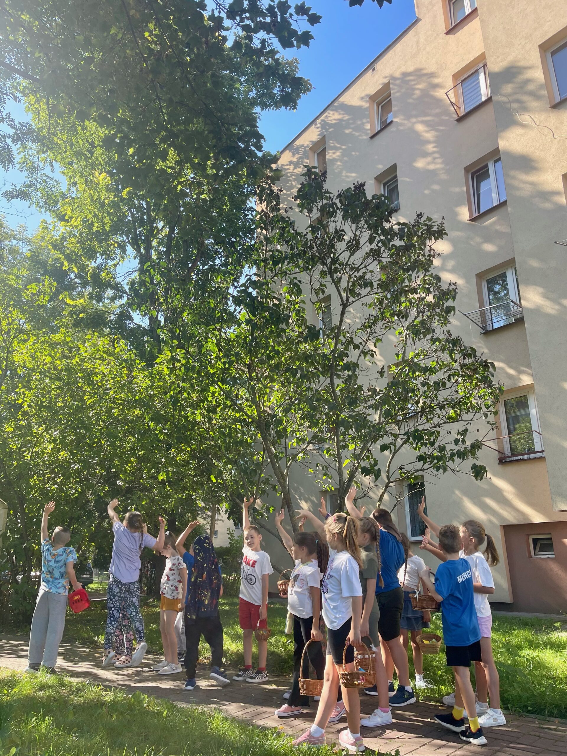 11.Klasa 2c jesień