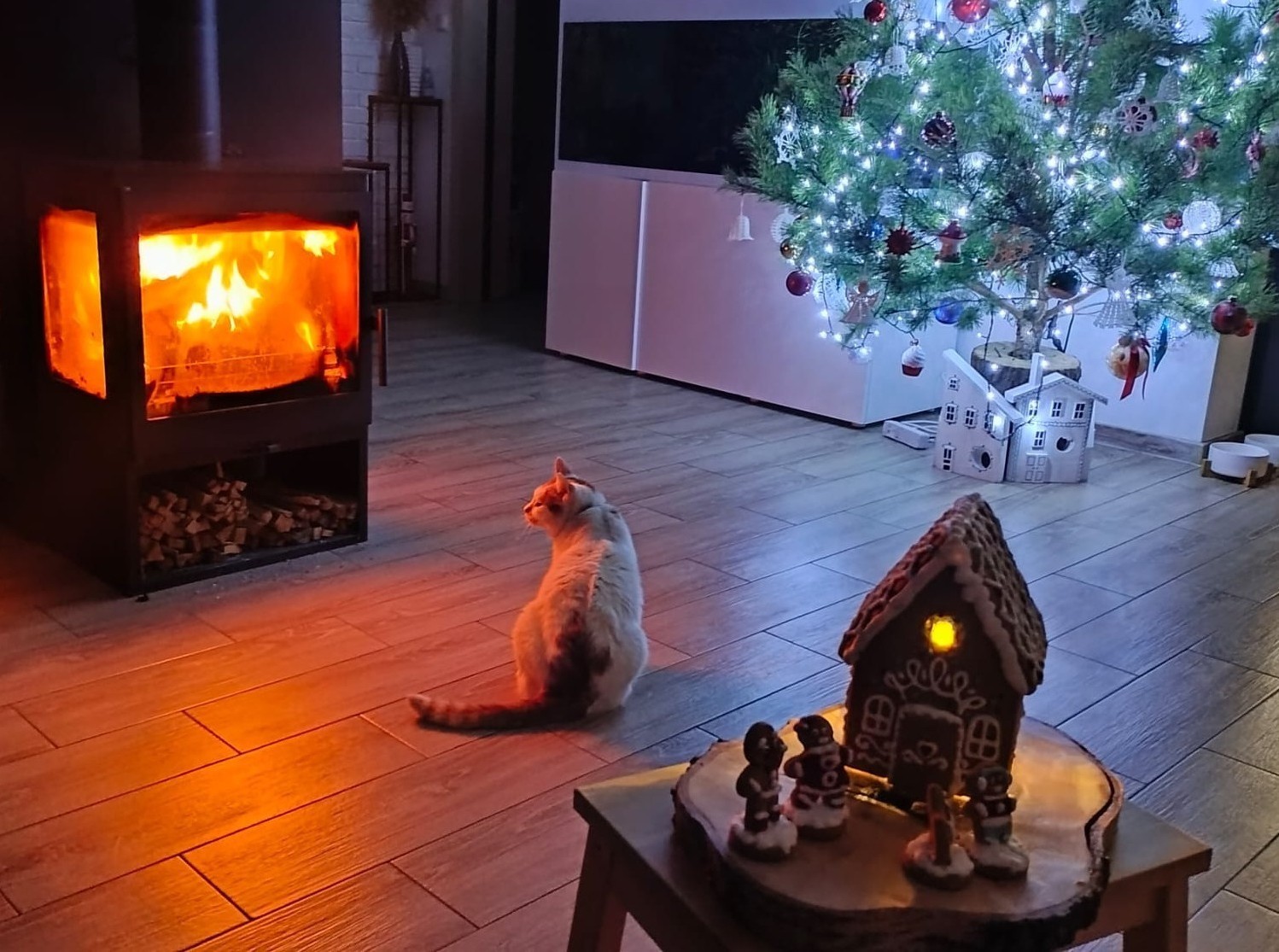 Magia Świąt w Obiektywie